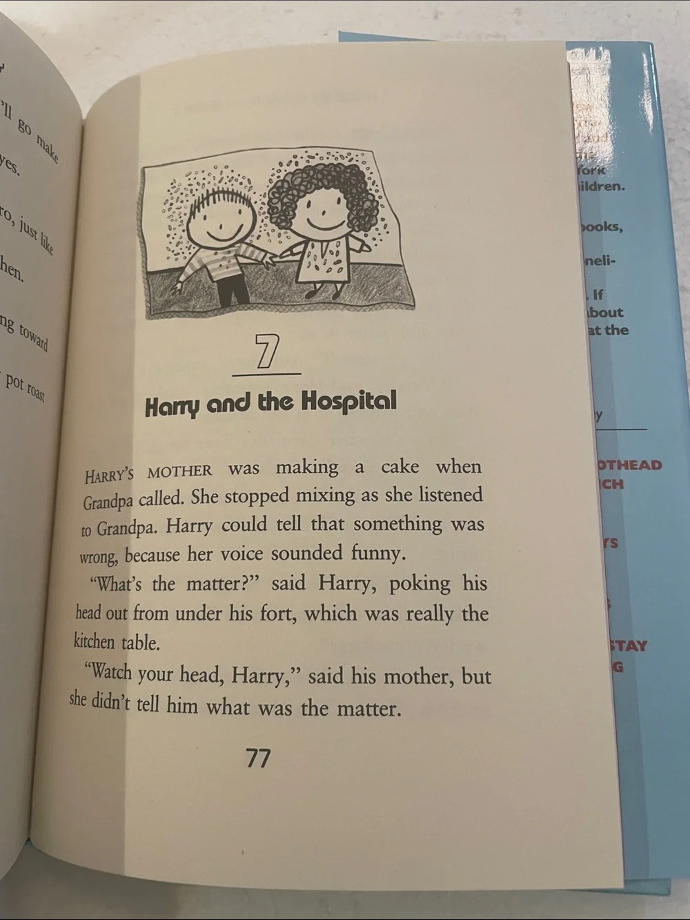 Vintage 1991 Hurricane Harry First Edition childrens AR Book HCDJ Judith Caseley